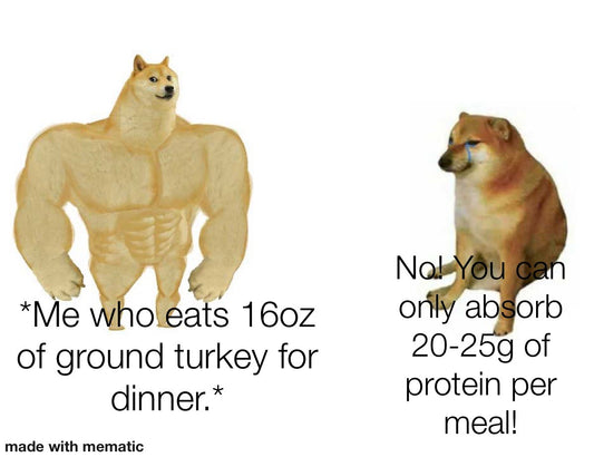 How Much Protein Per Meal?